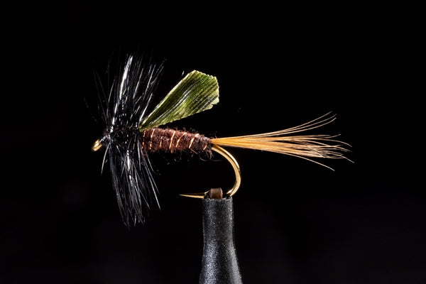 Tassie Dun | Manic Fly Collection