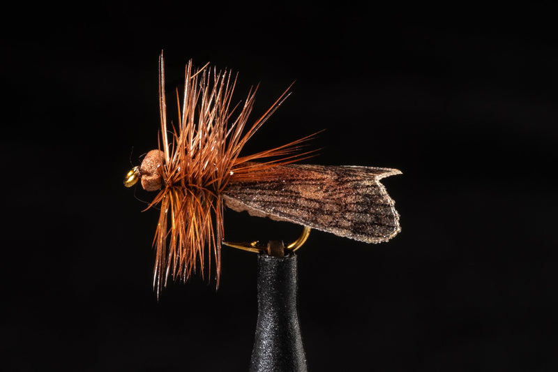 True Brown Caddis | Manic Fly Collection