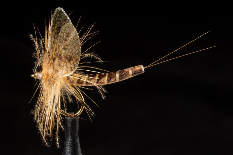 True Hexagenia Mayfly | Manic Fly Collection