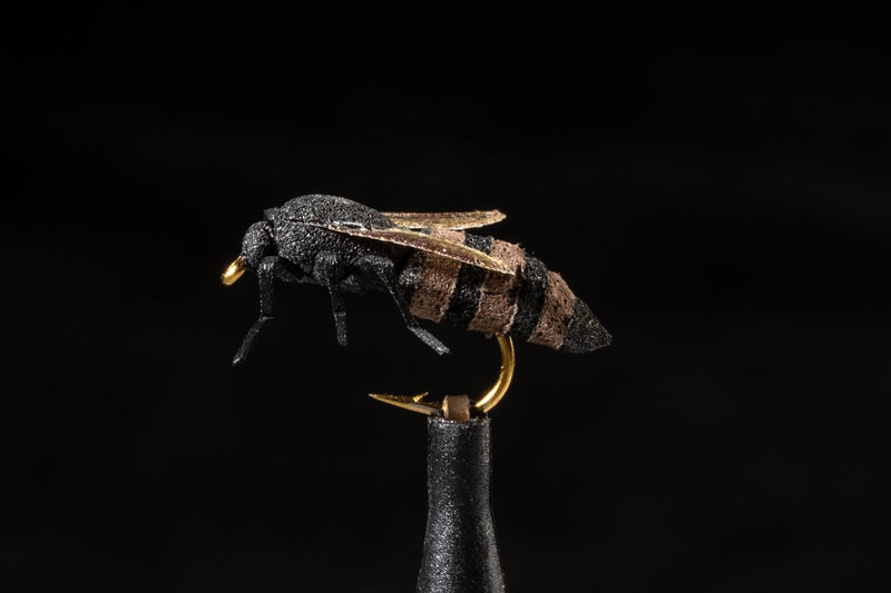 True Honey Bee | Manic Fly Collection