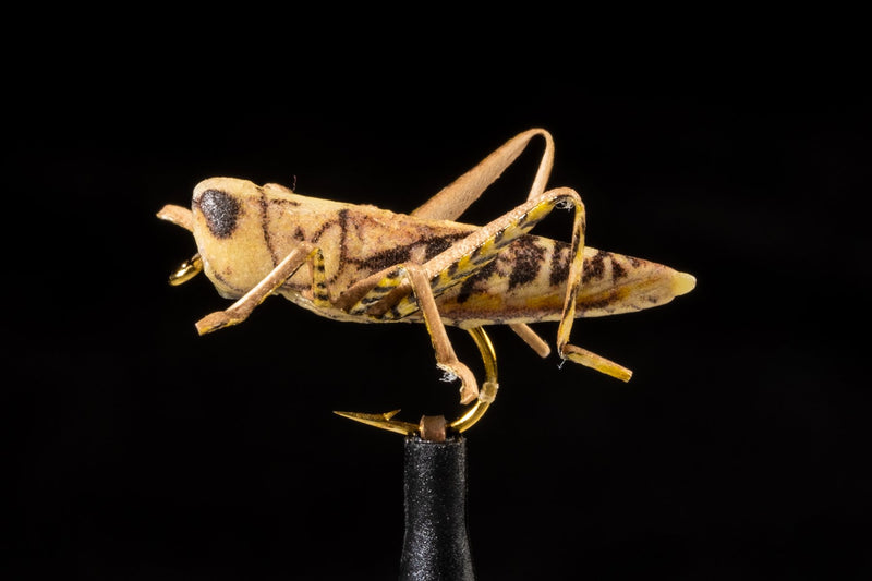 True Hopper tan | Manic Fly Collection