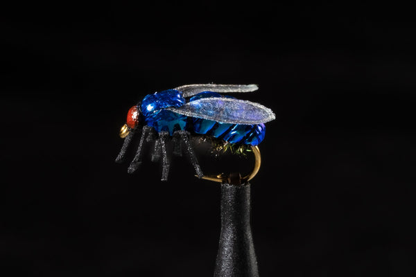 True House Fly Blue | Manic Fly Collection