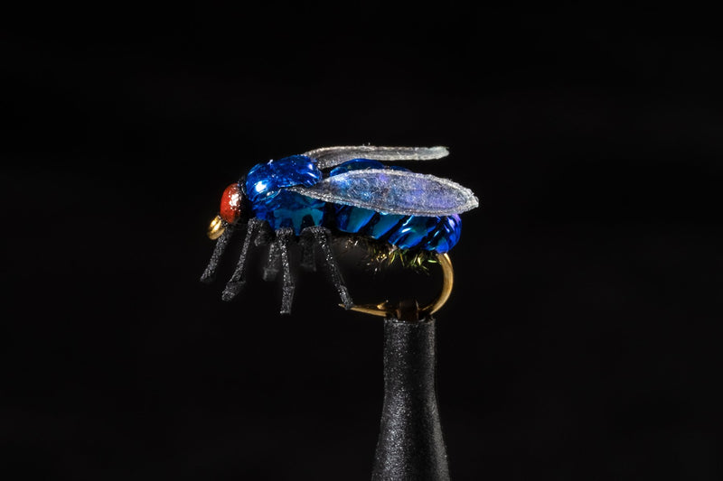 True House Fly Blue | Manic Fly Collection