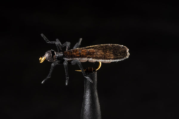 True Little Black Stonefly | Manic Fly Collection