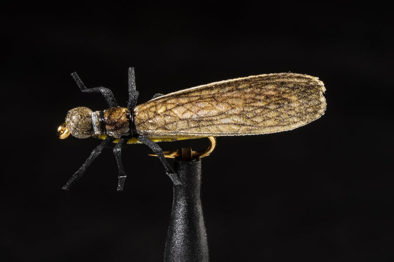 True Skwala | Manic Fly Collection