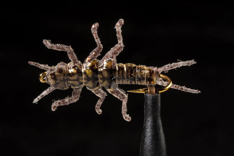 True Stonefly Jig Brown | Manic Fly Collection