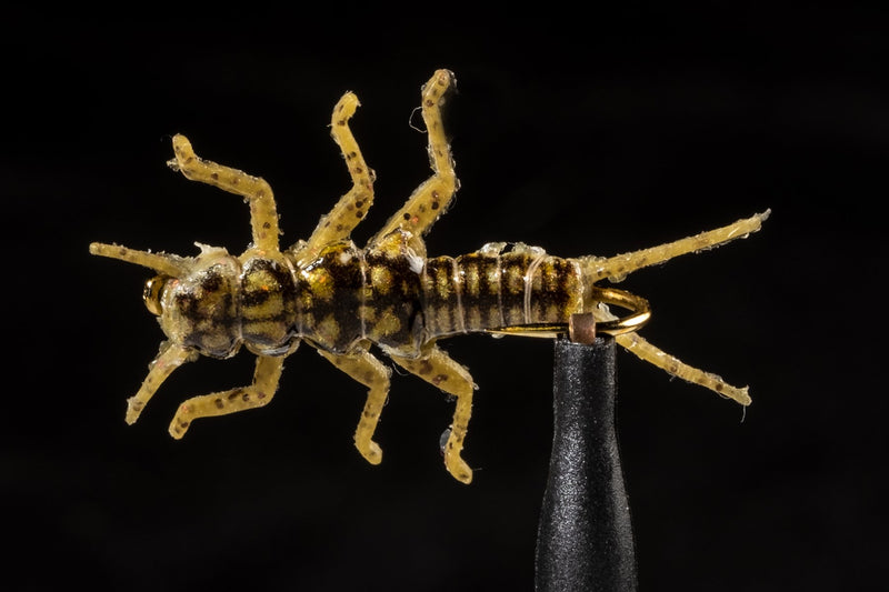 True Stonefly Jig Olive | Manic Fly Collection
