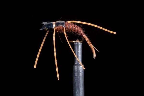 Davis' BC Stonefly Brown Fishing Fly | Manic Fly Collection