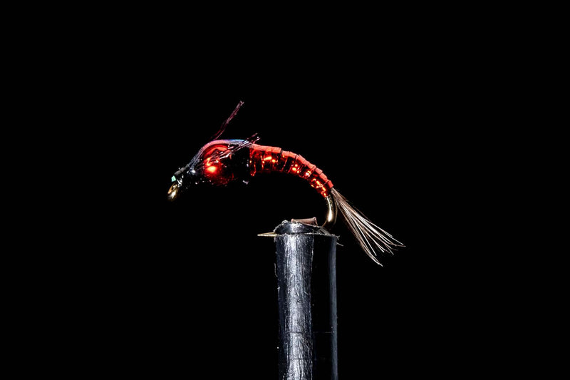 Mayflies Collection Deep Drop Mayfly - Red Fishing Fly | Manic Fly Collection – Manic ...