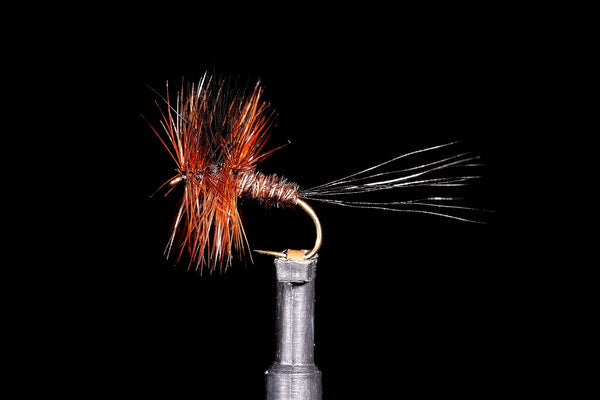 Wave Rider Dun Fishing Fly | Manic Fly Collection